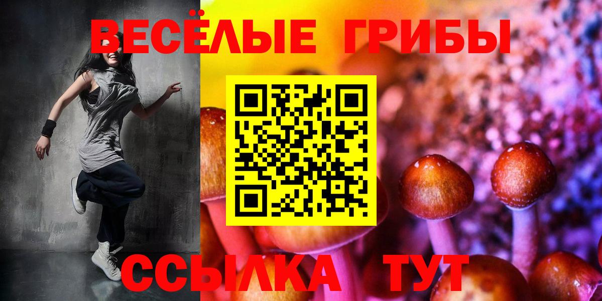 Чернушка  Псилоцибиновые грибы мухоморы  Вход с VPN 